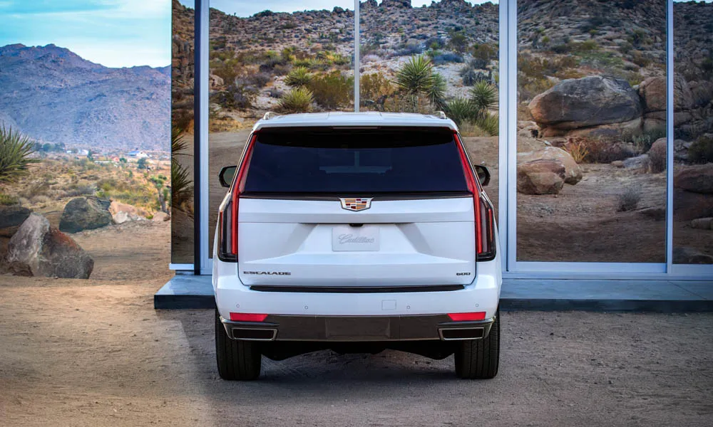 Cadillac Escalade — вид сзади, фото 2