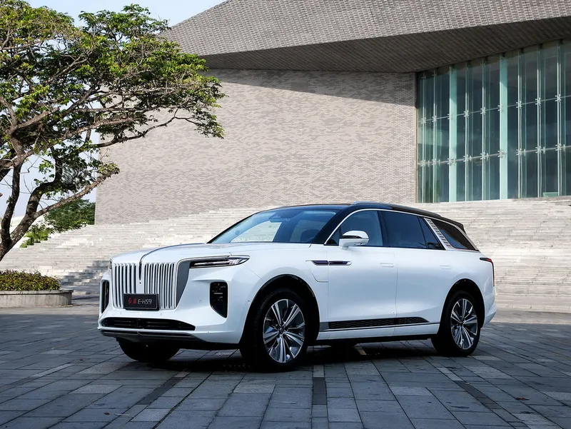 Hongqi E-HS9 2020, джип/suv 5 дв., 1 поколение, E115 (04.2020 - н.в.)