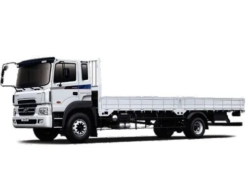 Hyundai HD170 2004, бортовой грузовик, 1 поколение (04.2004 - н.в.)