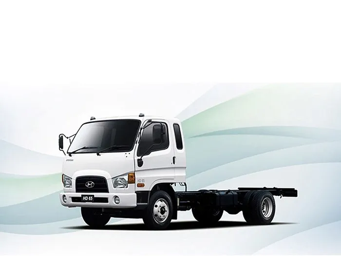Hyundai HD65
