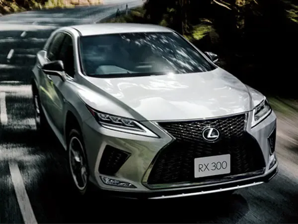 Lexus RX300 рестайлинг 2019, джип/suv 5 дв., 4 поколение, AL20 (08.2019 - 09.2022)