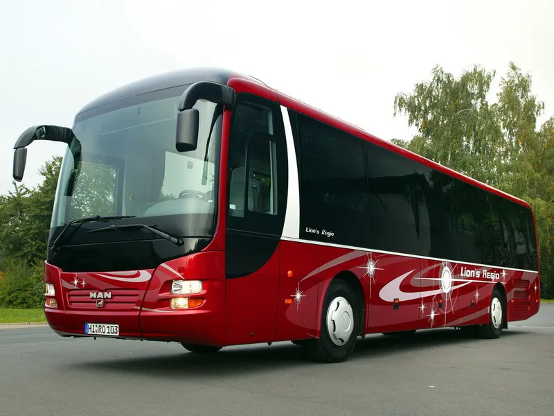 Man Lions Regio