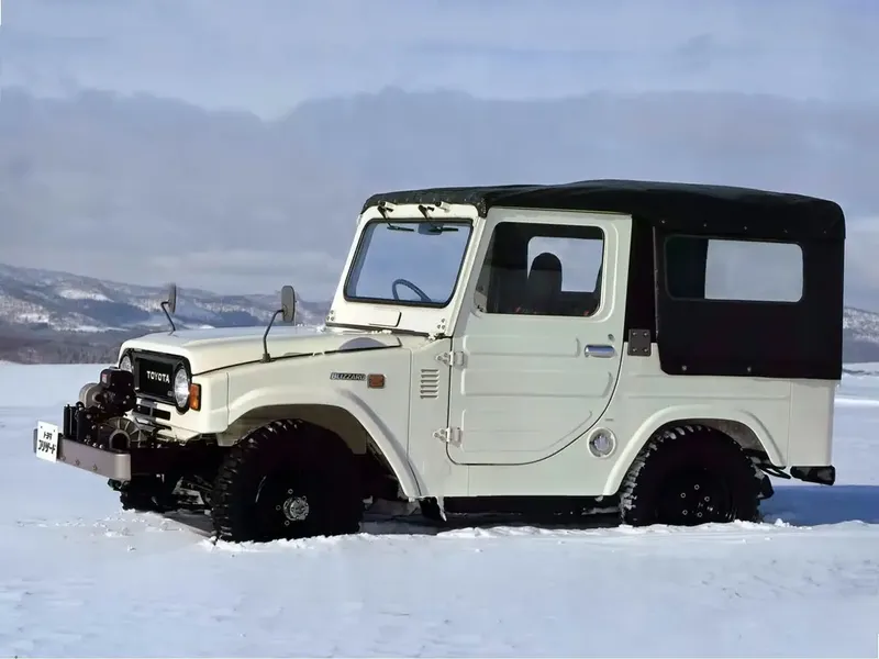 Toyota Blizzard