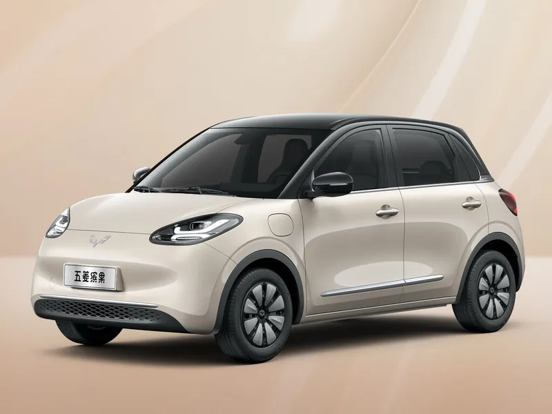 Wuling Bingo