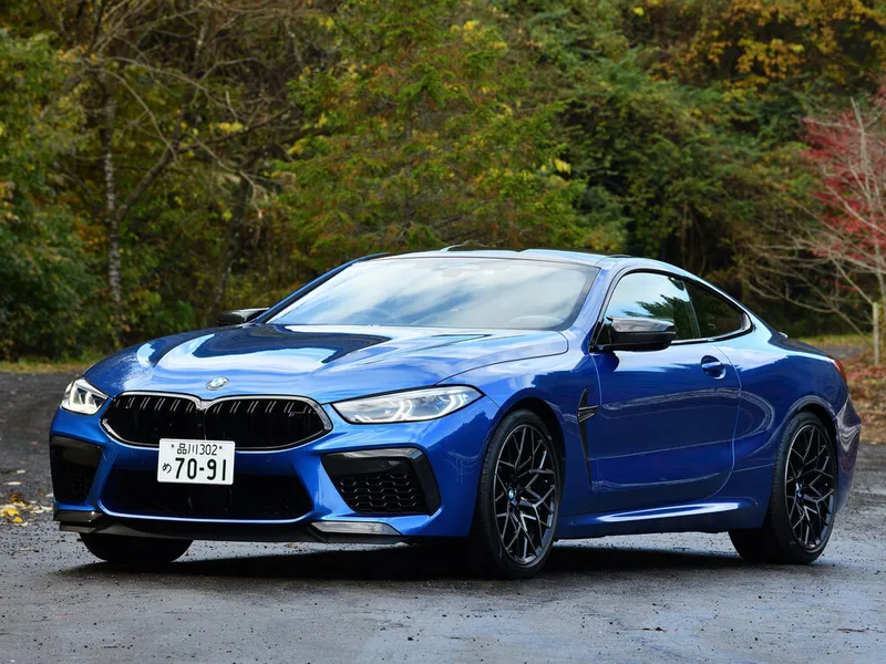 BMW M8 2019, купе, 1 поколение, F93 (06.2019 - 03.2022)