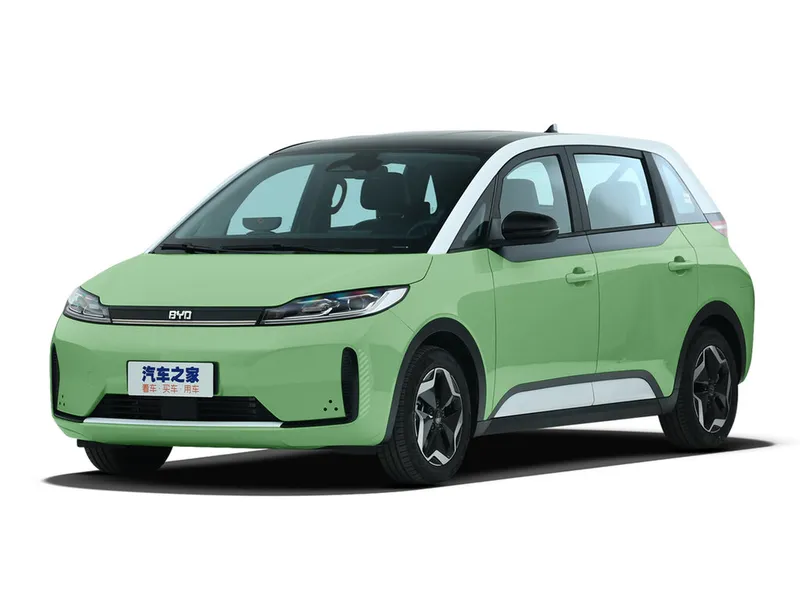 BYD D1