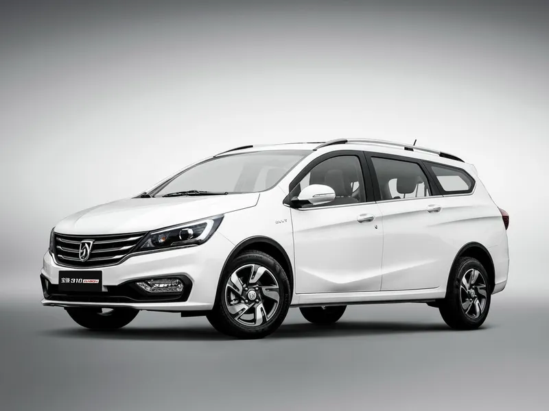 Baojun 310