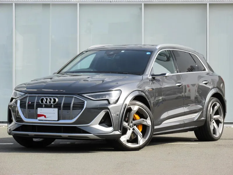 Audi e-tron S