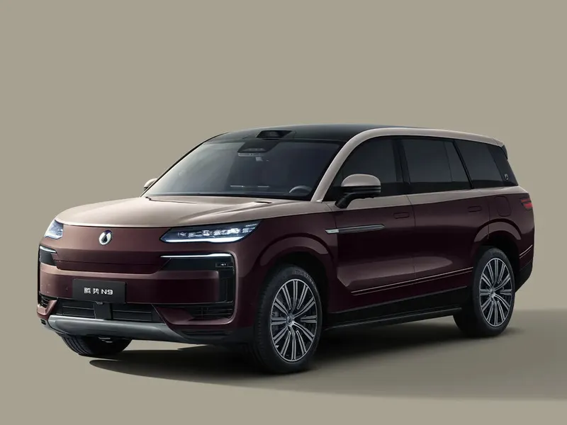 Denza N9