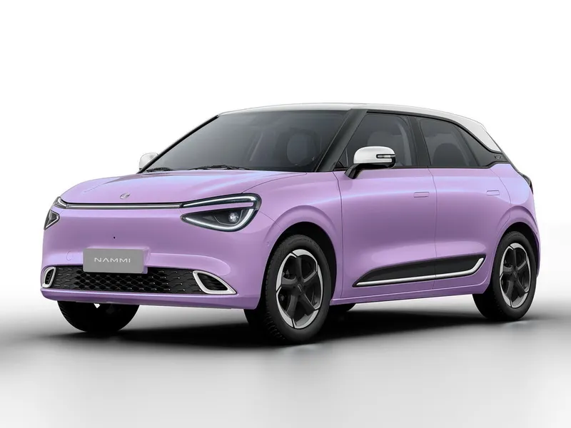 Dongfeng Nammi 01