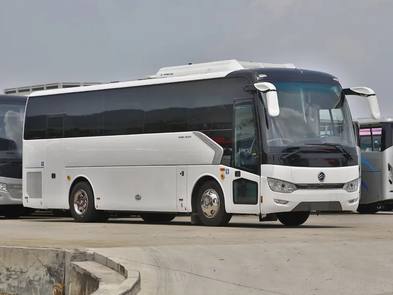 Golden Dragon XML 6952