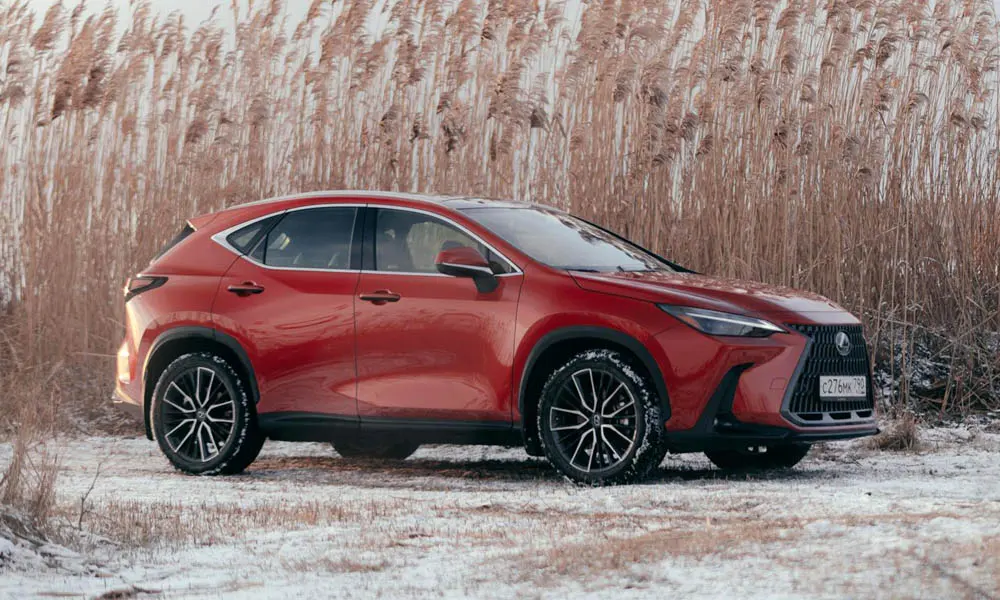 Lexus NX 250 — вид спереди, фото 3
