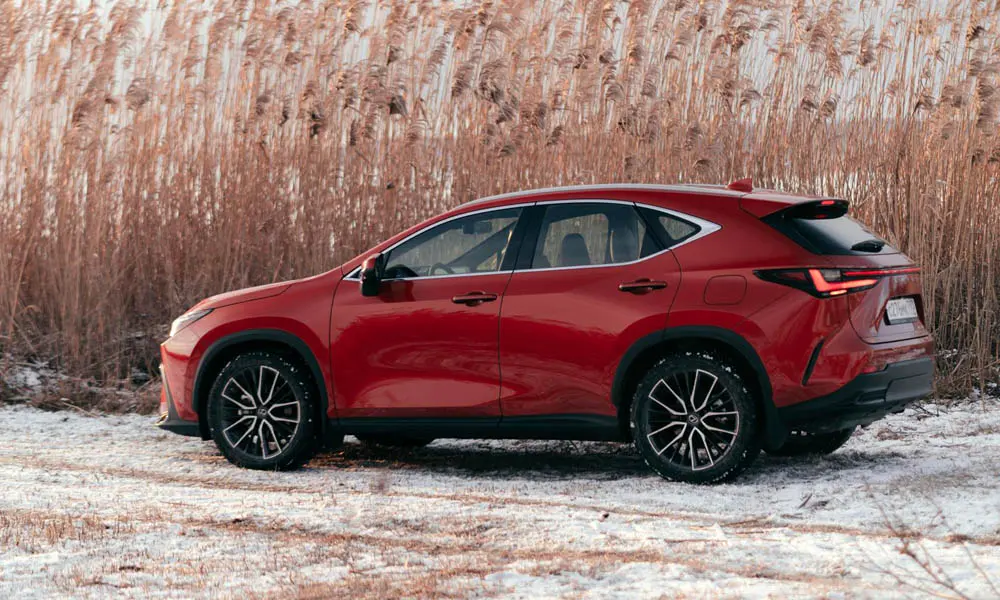Lexus NX 250 — вид сзади, фото 3