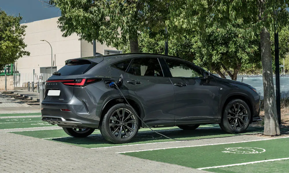 Фото Lexus NX 450h (2024) — вид сзади, фото 2. Графика фонарей, бампер и оформление пятой двери. Насадки выхлопа или их имитация внизу бампера различают версии Lexus NX 450h (2024) — вид сзади, фото 2