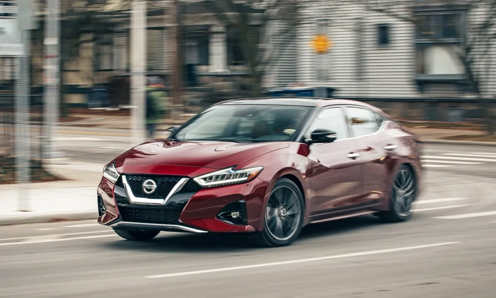 Nissan Maxima — вид спереди, фото 3