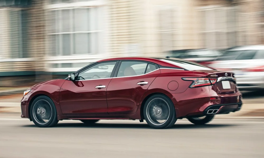 Nissan Maxima — вид сзади, фото 2